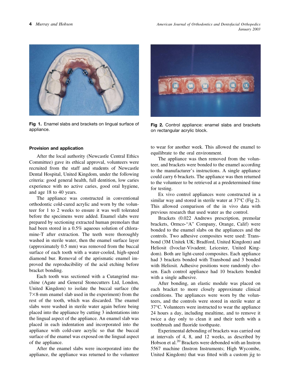 2003_123_1_2_9_Murray.pdf_第3页