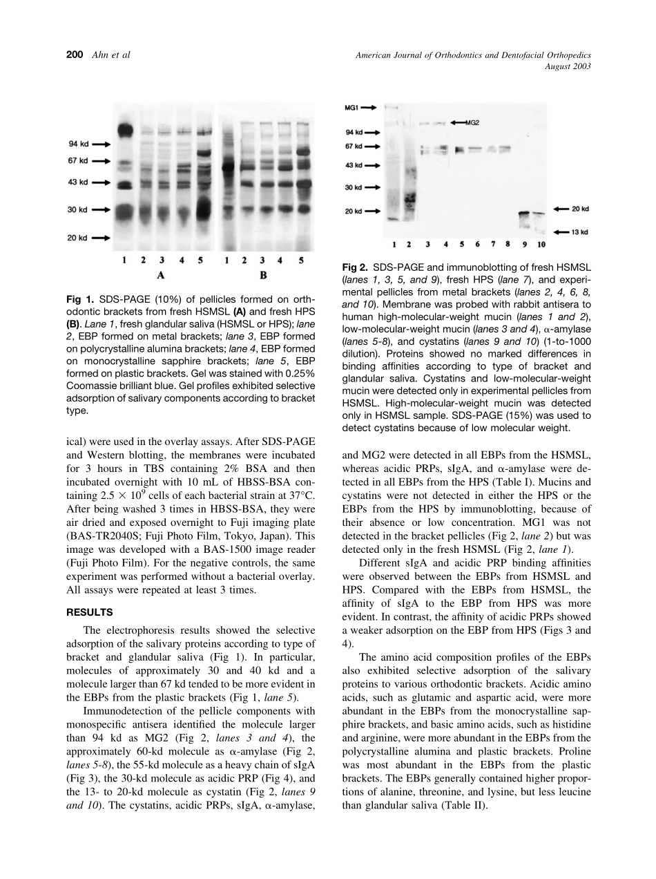 2003_124_2_198_205_Ahn.pdf_第3页