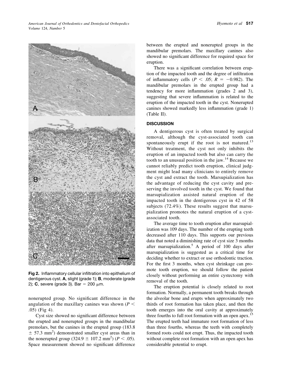 2003_124_5_515_520_Hyomoto.pdf_第3页