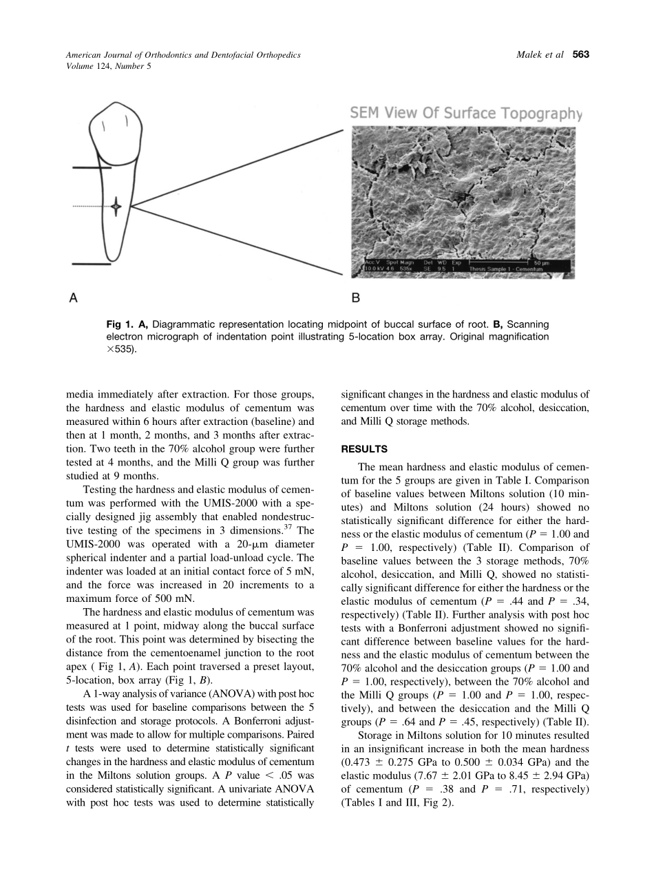 2003_124_5_561_570_Malek.pdf_第3页