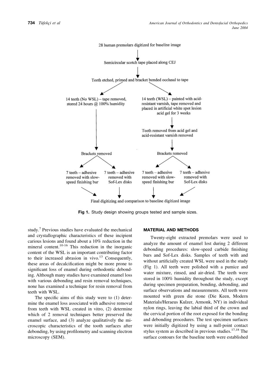 2004_125_6_733_739_Tufekci.pdf_第2页
