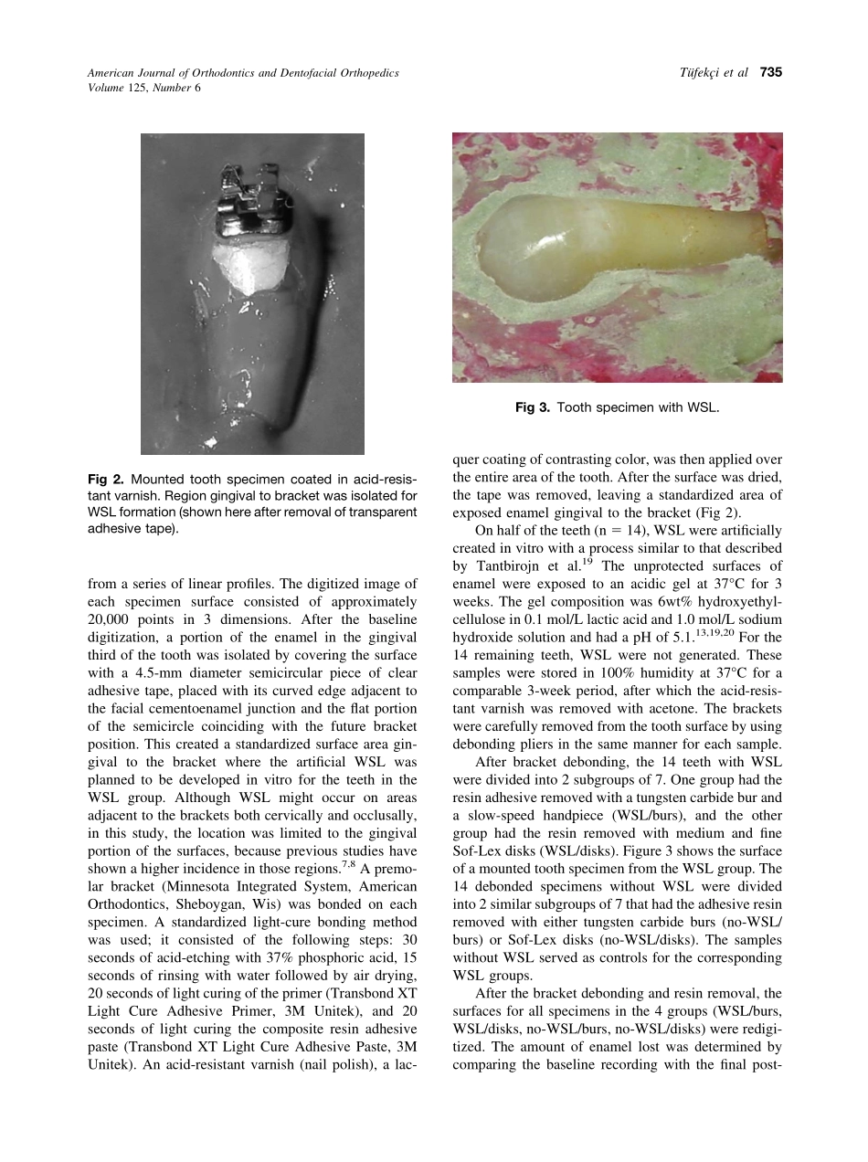 2004_125_6_733_739_Tufekci.pdf_第3页