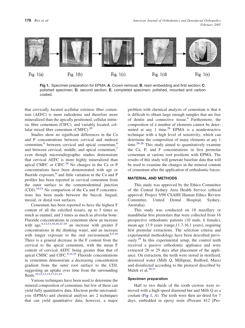 2005_127_2_177_185_Rex.pdf_第2页