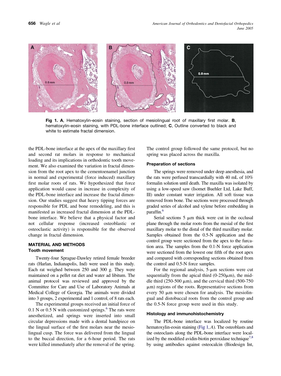 2005_127_6_655_661_Wagle.pdf_第2页