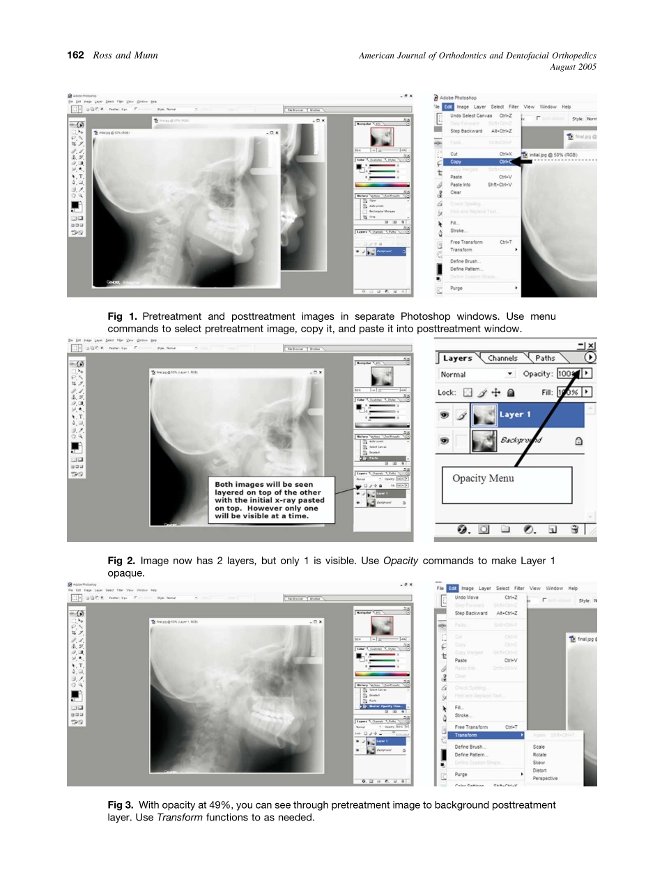 2005_128_2_161_162_Ross.pdf_第2页