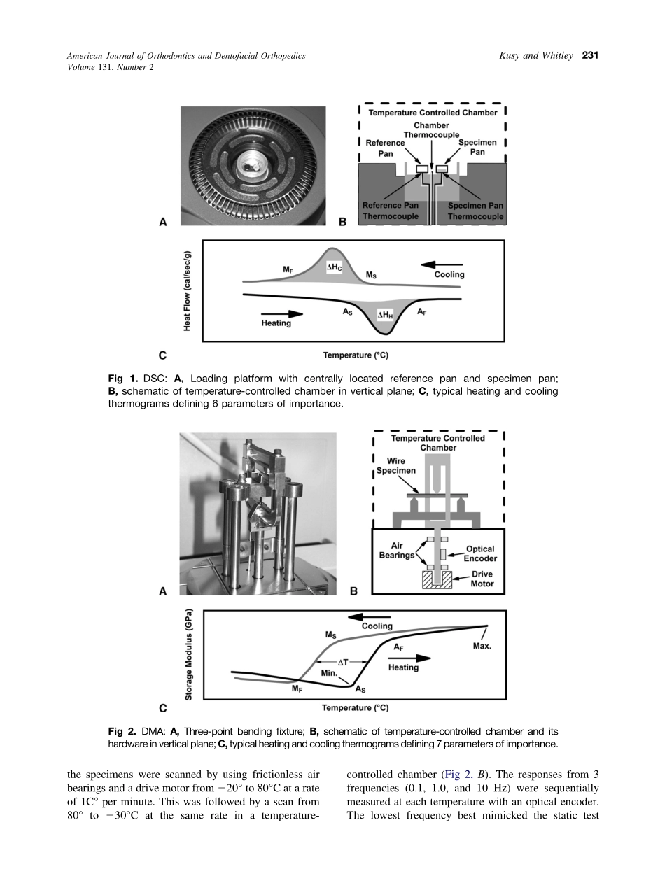 2007_131_2_229_237_Kusy.pdf_第3页