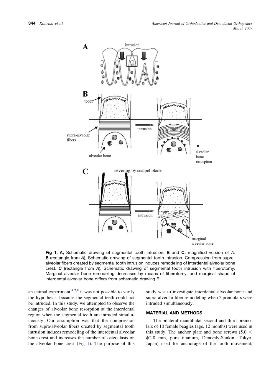 2007_131_3_343_351_Kanzaki.pdf_第2页