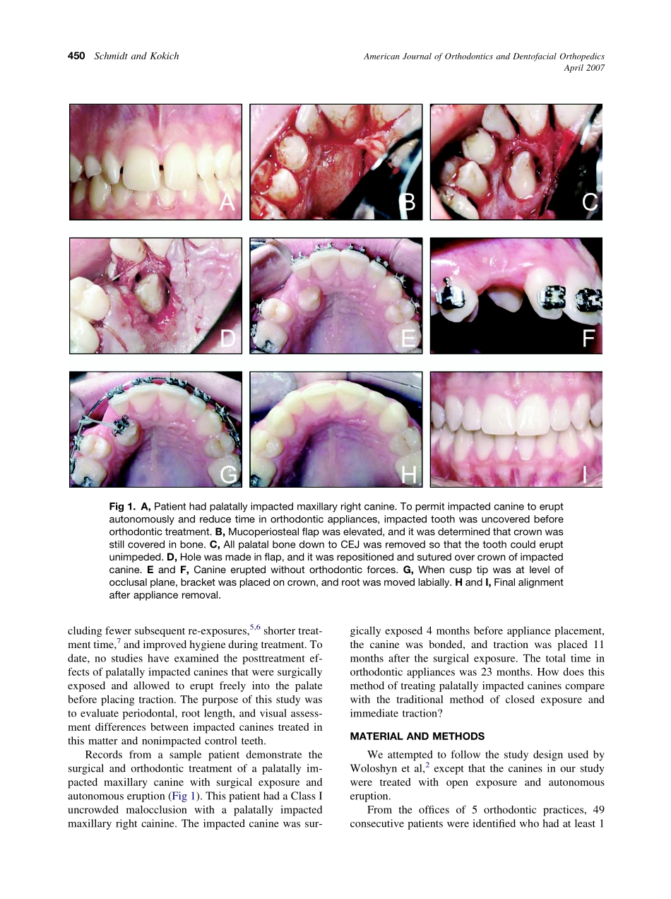 2007_131_4_449_455_Schmidt.pdf_第2页