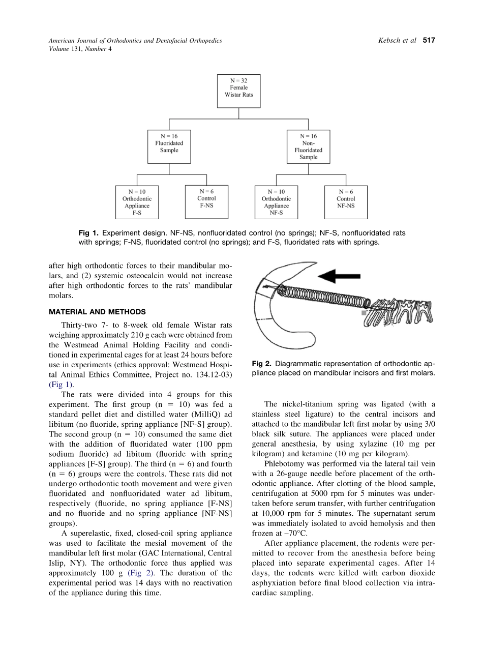 2007_131_4_515_524_Kebsch.pdf_第3页