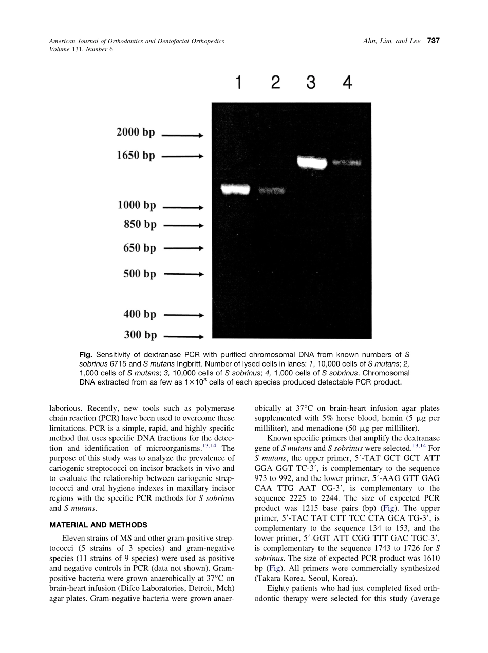 2007_131_6_736_741_Ahn.pdf_第2页