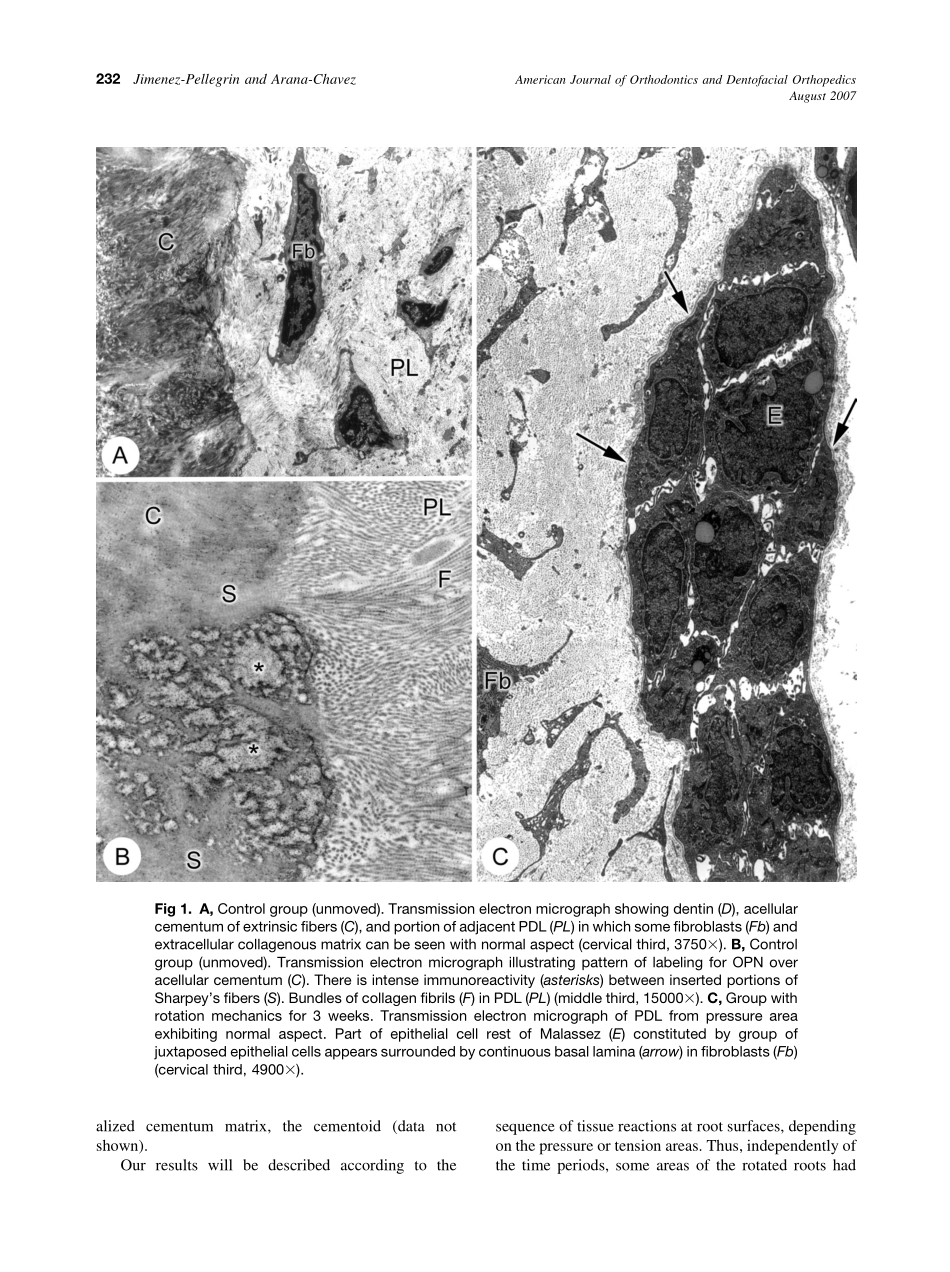 2007_132_2_230_236_Jimenez-Pellegrin.pdf_第3页
