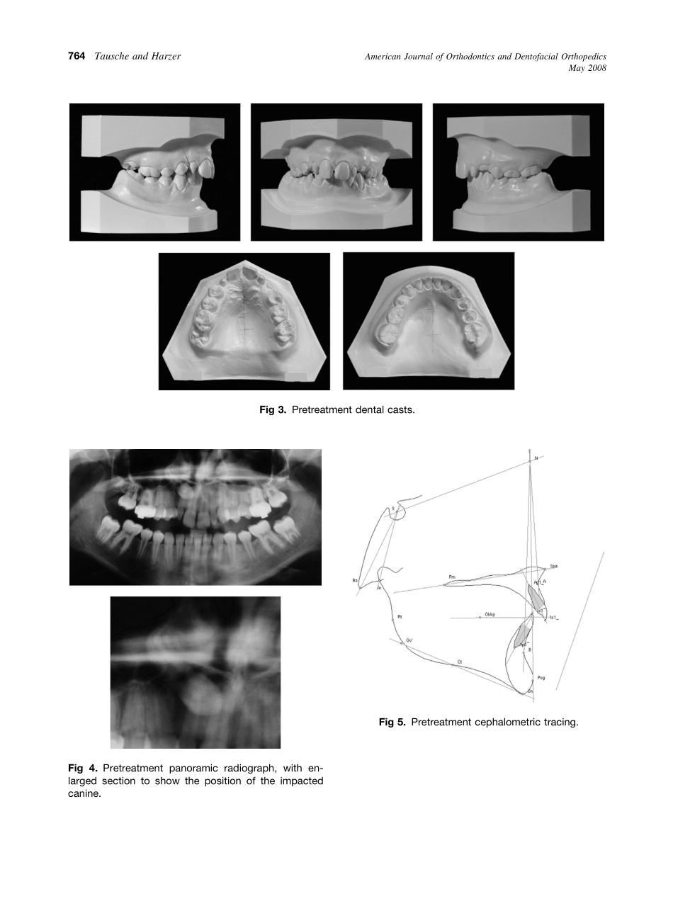 2008_133_5_762_770_Tausche.pdf_第3页