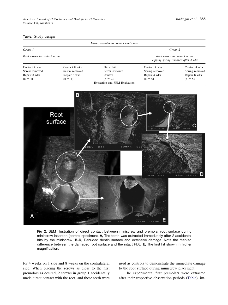 2008_134_3_353_360_Kadioglu.pdf_第3页