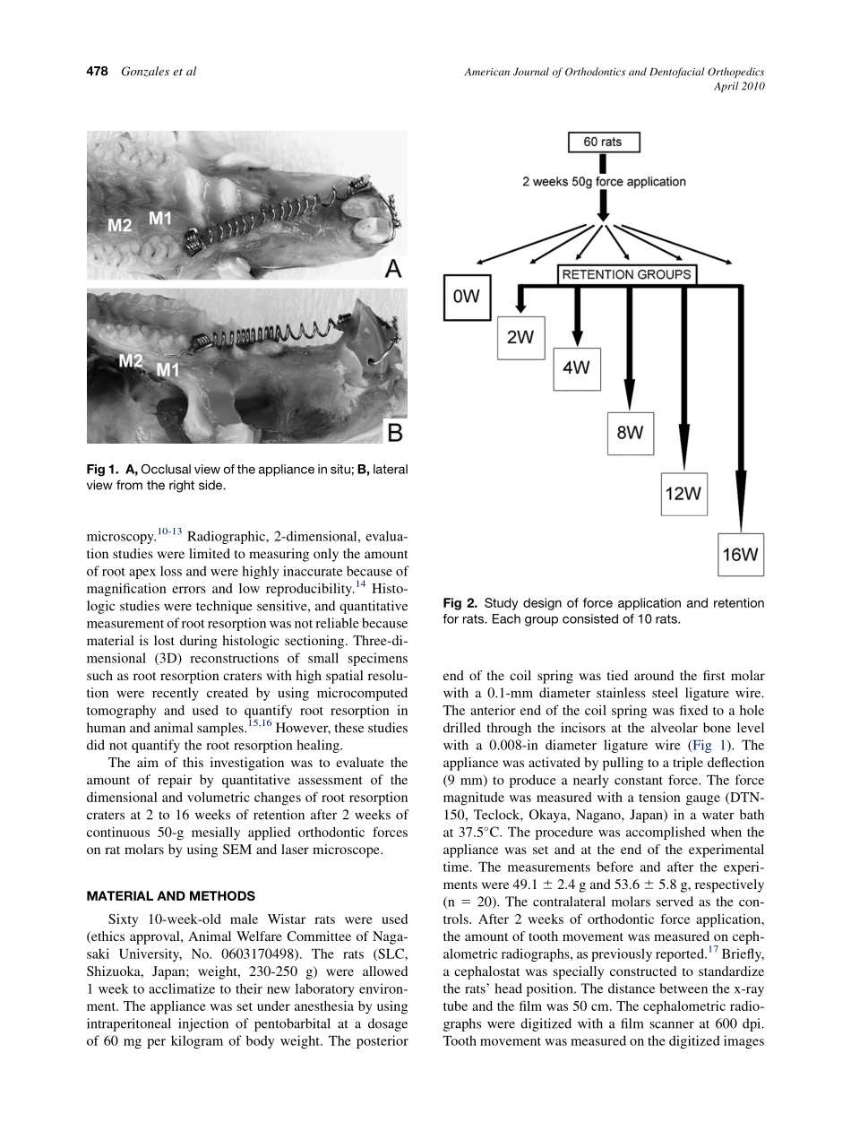 2010_137_4_477_485.pdf_第2页