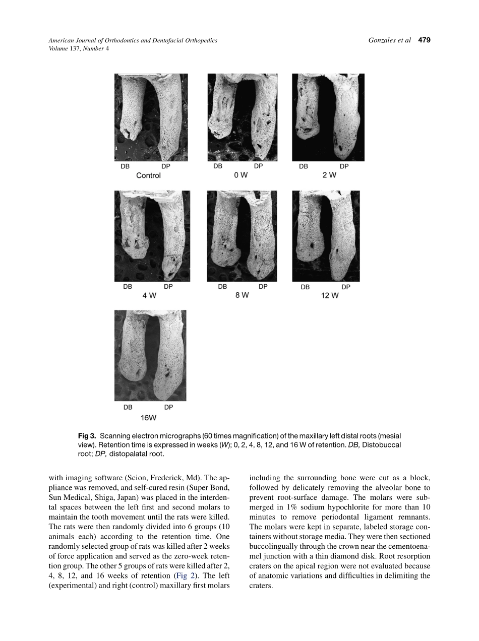 2010_137_4_477_485.pdf_第3页