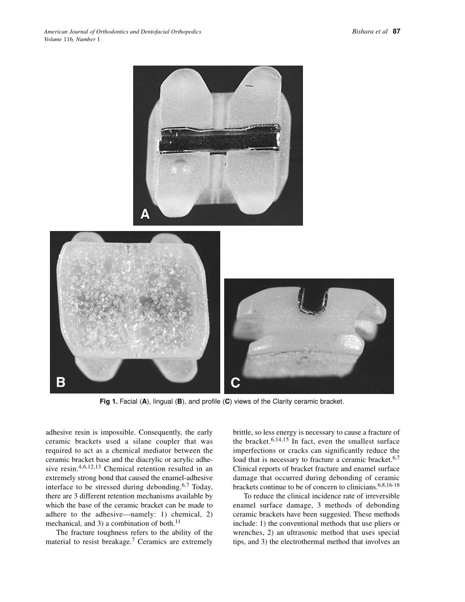 Bishara_1999_116_1_by_OrTHoTaMiNe.pdf_第2页