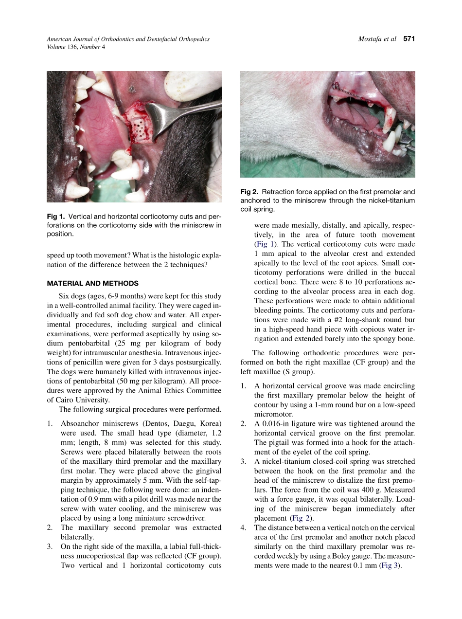 Mostafa_2009_American-Journal-of-Orthodontics-and-Dentofacial-Orthopedics.pdf_第2页