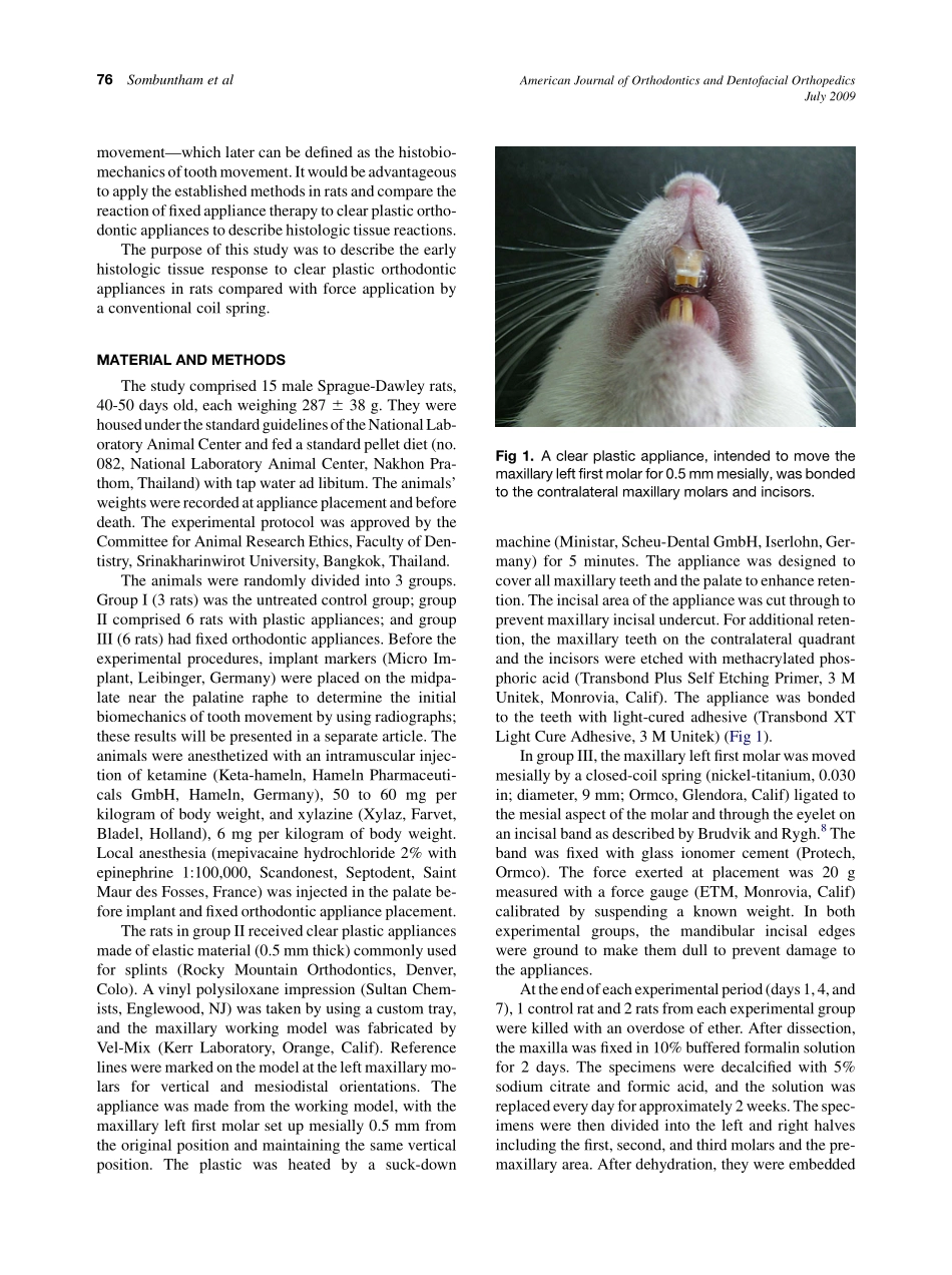 Sombuntham_Early-tooth-movement-with-a-clear-plastic-appliance-in-rats_2009.pdf_第2页