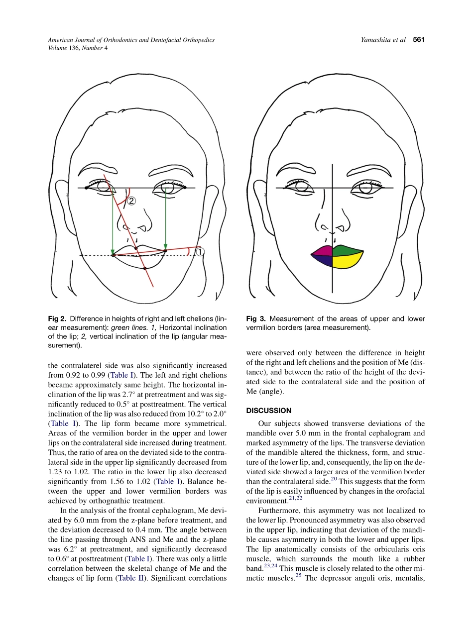 Yamashita_2009_American-Journal-of-Orthodontics-and-Dentofacial-Orthopedics.pdf_第3页