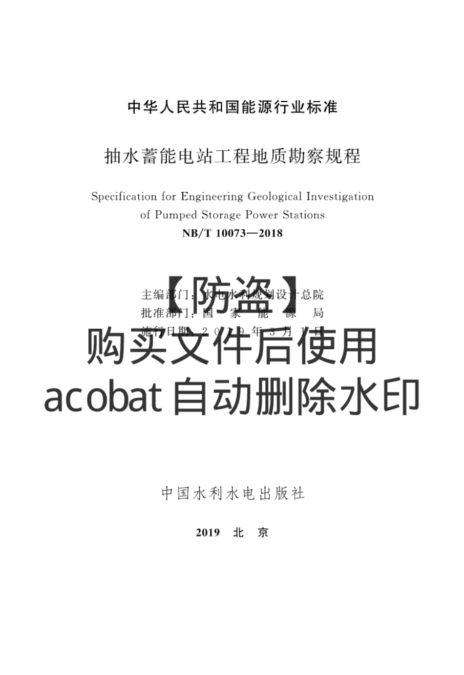 NBT10073-2018抽水蓄能电站工程地质勘察规程--------- .pdf_第2页