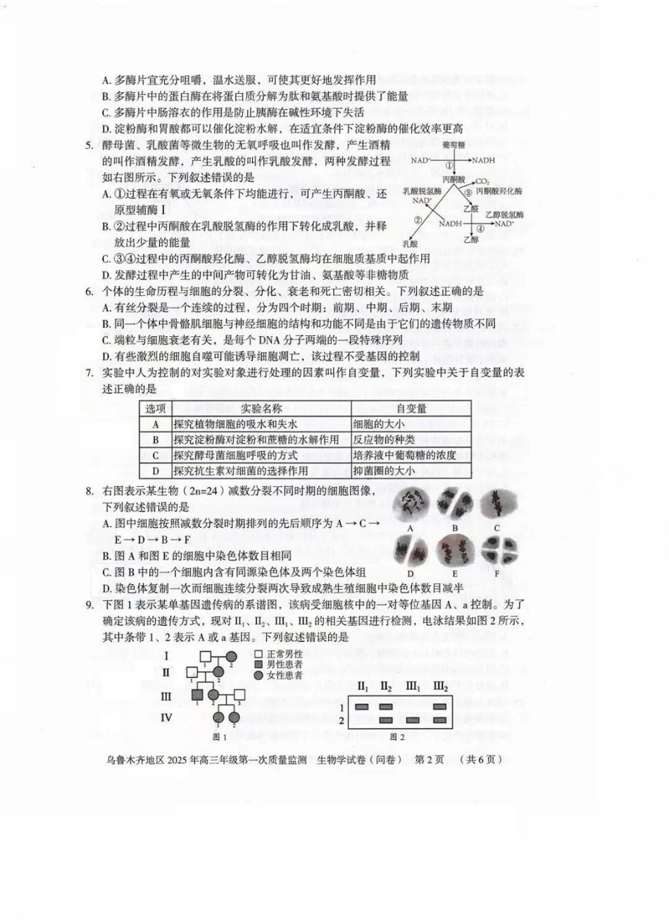 新疆乌鲁木齐地区 2025 年高三年级第一次质量监测生物试题.pdf_第2页