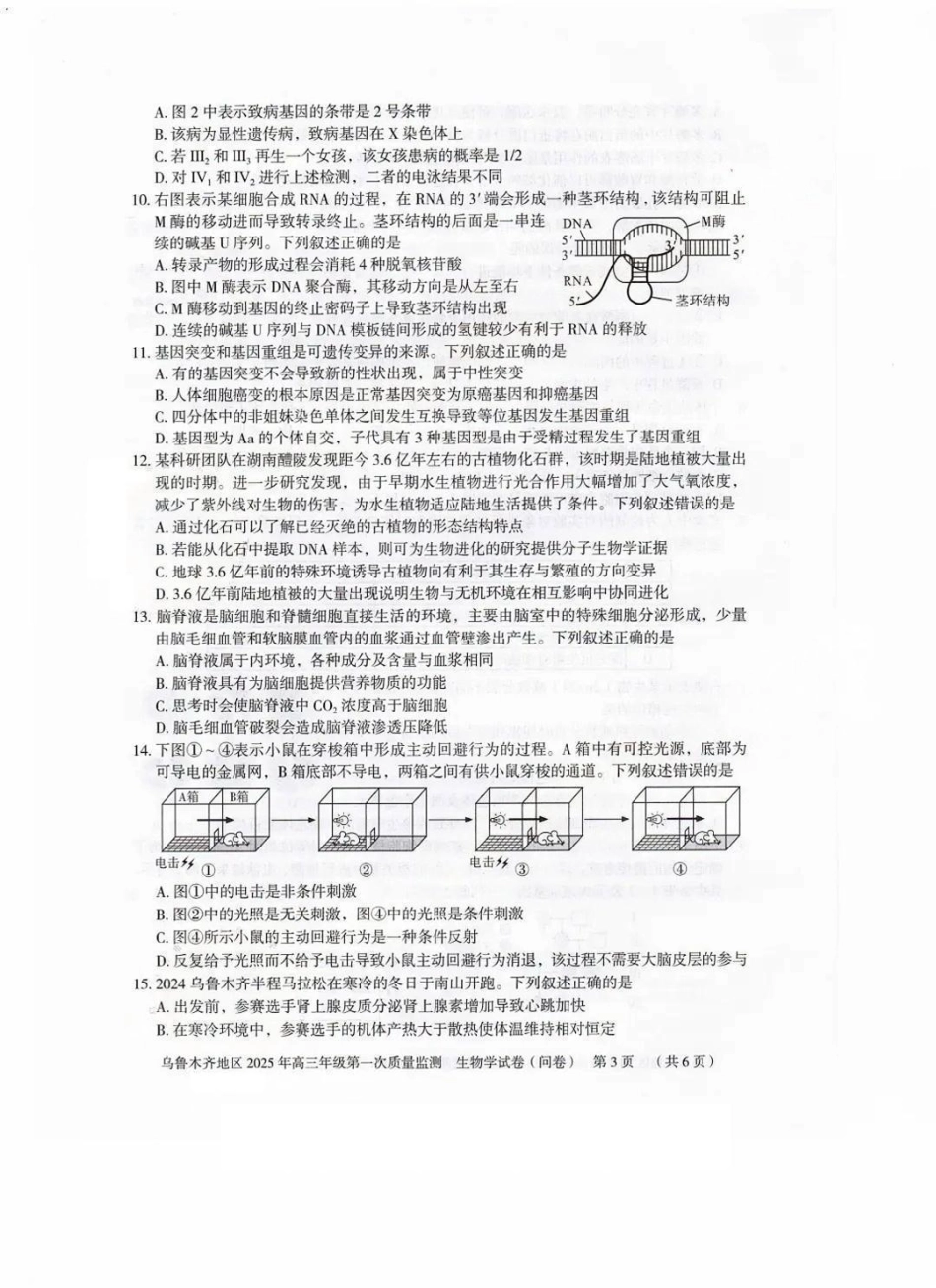 新疆乌鲁木齐地区 2025 年高三年级第一次质量监测生物试题.pdf_第3页