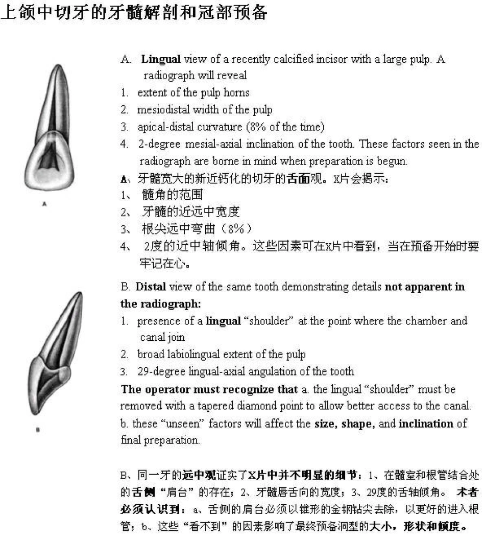 Endo第五版中各牙的牙髓解剖及冠部洞型预备.pdf_第1页