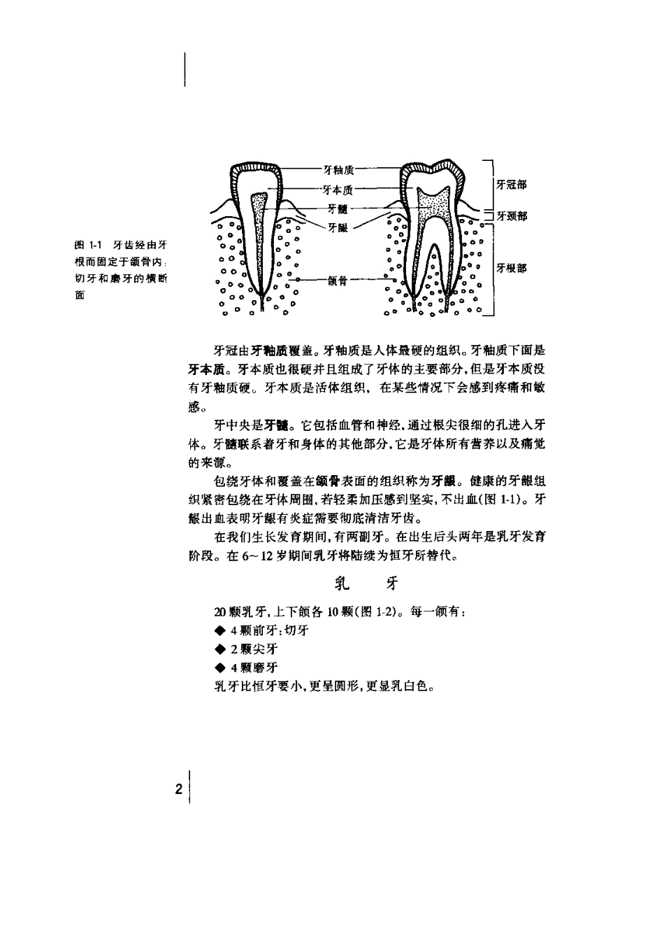 非创伤性修复治疗手册——控制龋的途径.pdf_第3页