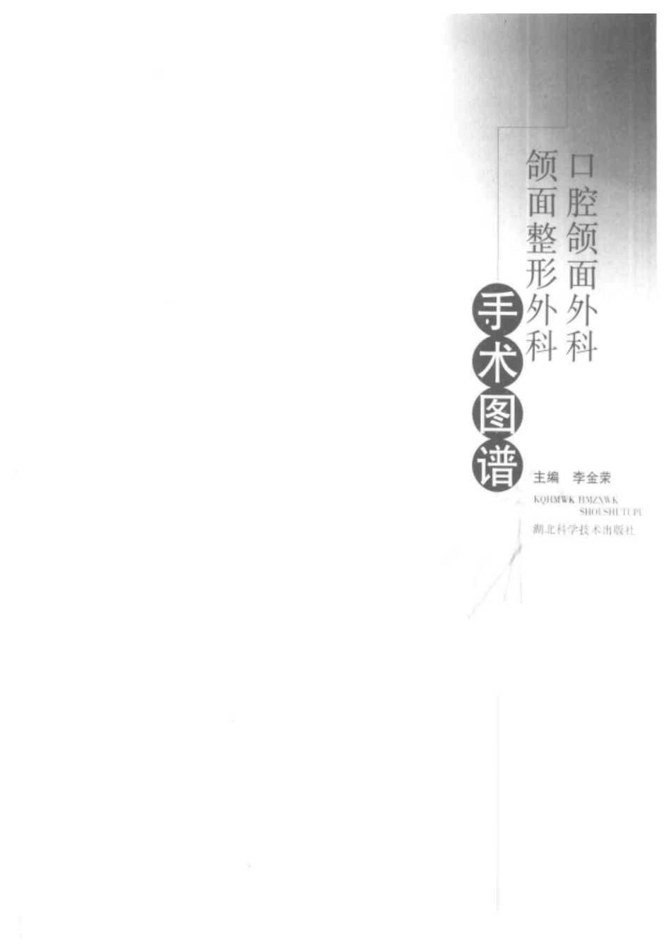 口腔颌面外科、颌面整形外科手术图谱.pdf_第3页