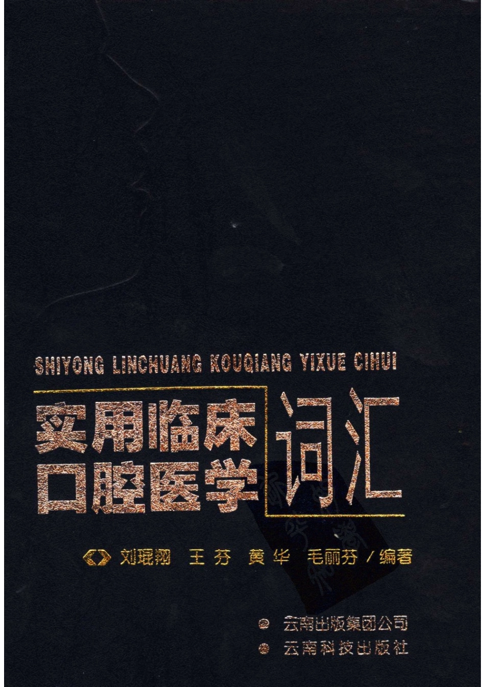 实用临床口腔医学词汇_11871704.pdf_第1页