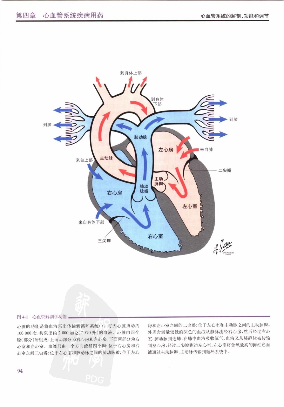 心血管系统疾病用药－奈特药理学彩色图谱.pdf_第2页