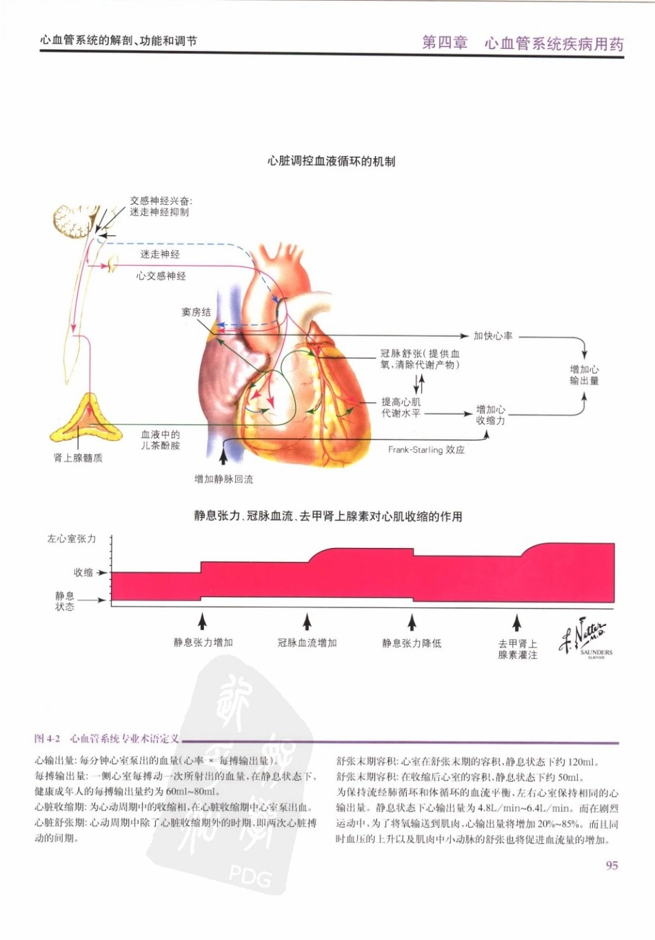 心血管系统疾病用药－奈特药理学彩色图谱.pdf_第3页