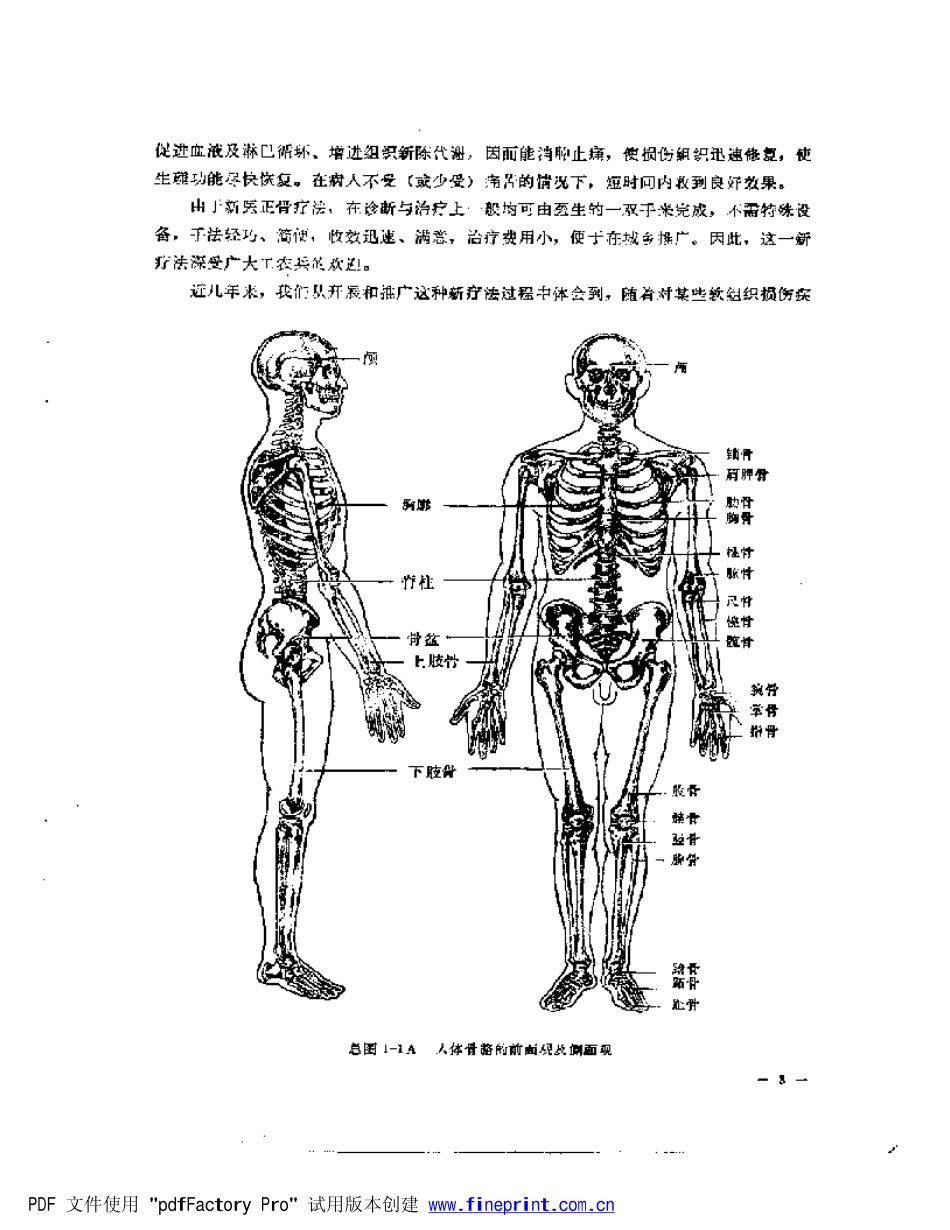 中西医结合治疗软组织损伤（冯天友）.pdf_第3页