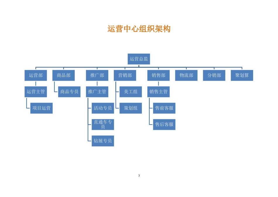 电子商务运营部企业组织结构及岗位职责.docx_第3页