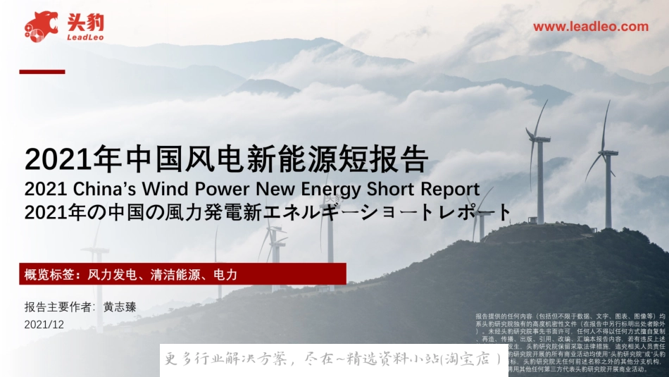 2022-05-2021年中国风电新能源短报告.pdf_第1页