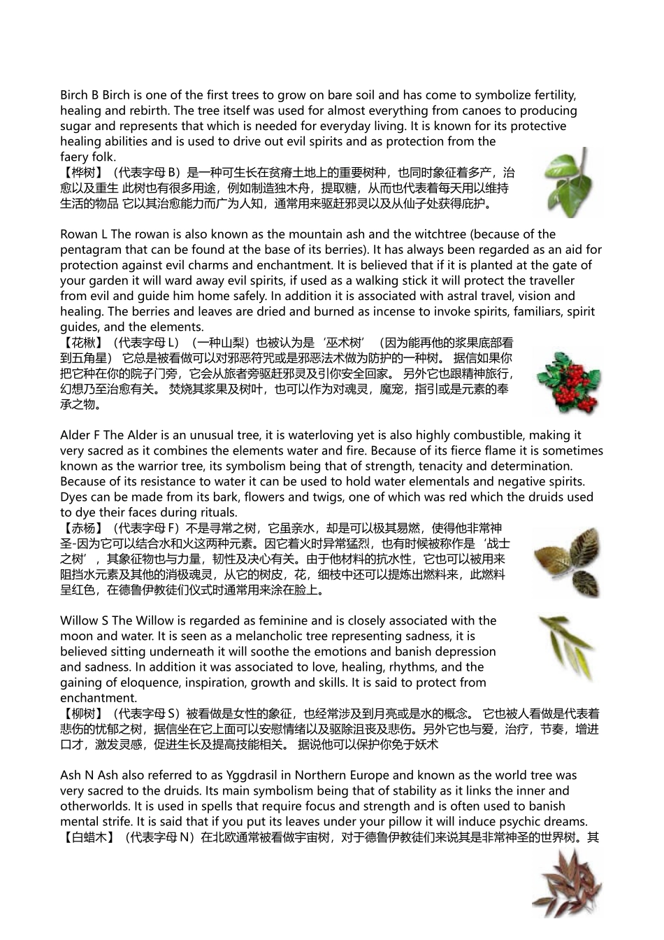 德鲁伊教常用树种及历史上的神圣文字.docx_第2页