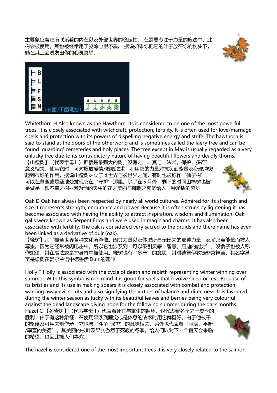 德鲁伊教常用树种及历史上的神圣文字.docx_第3页