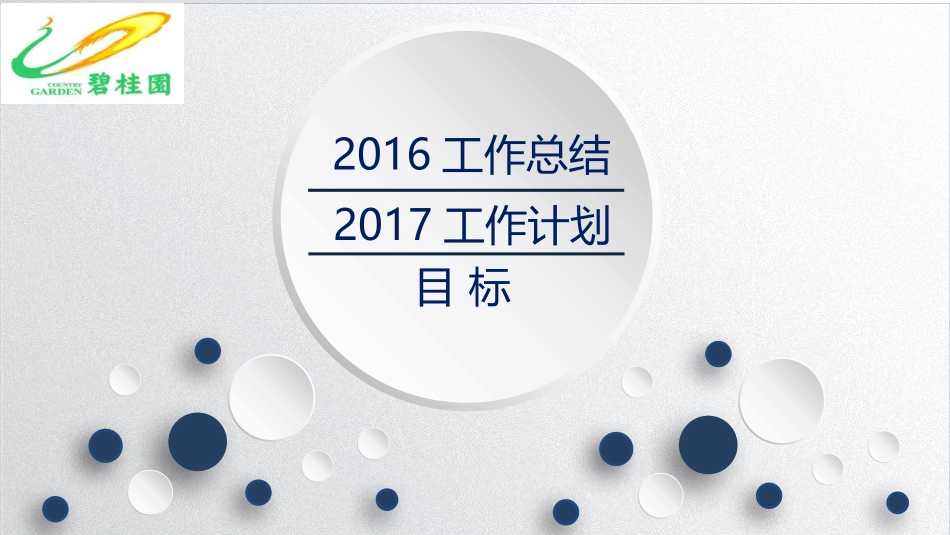 201x年年终总结暨2017工作计划(罗杰-正式版).pptx_第1页