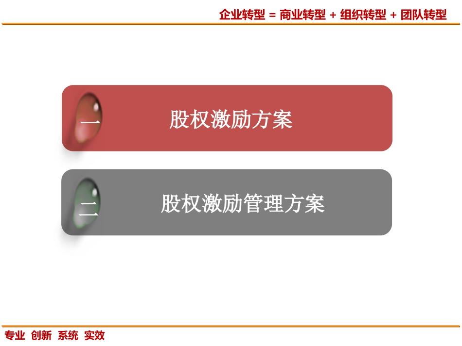 28 股权设计合伙人项目 股权激励方案.pptx_第2页