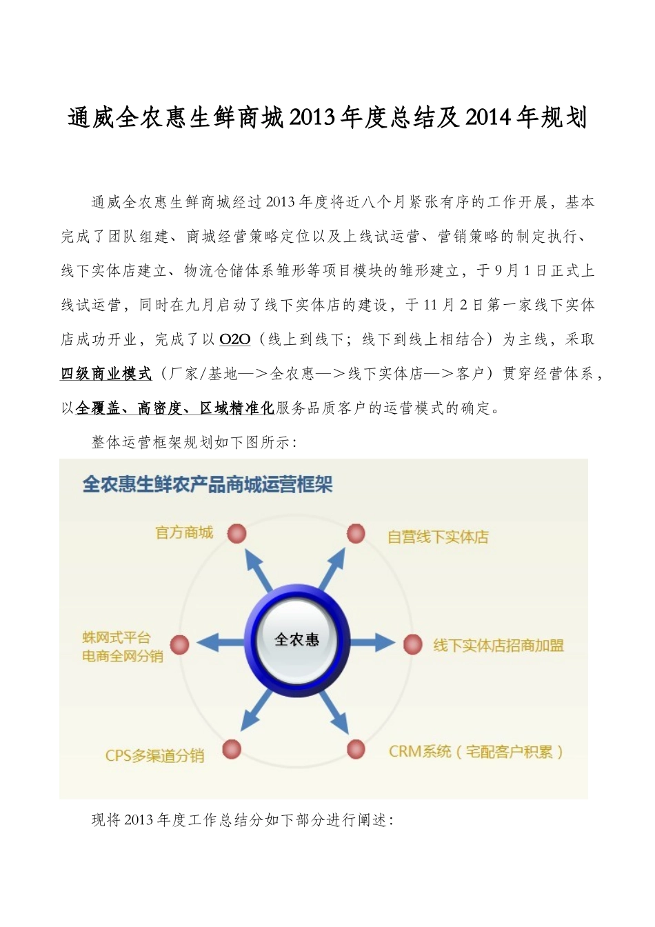 通威全农惠生鲜商城2013年度总结及2014年规划（17页）.docx_第1页