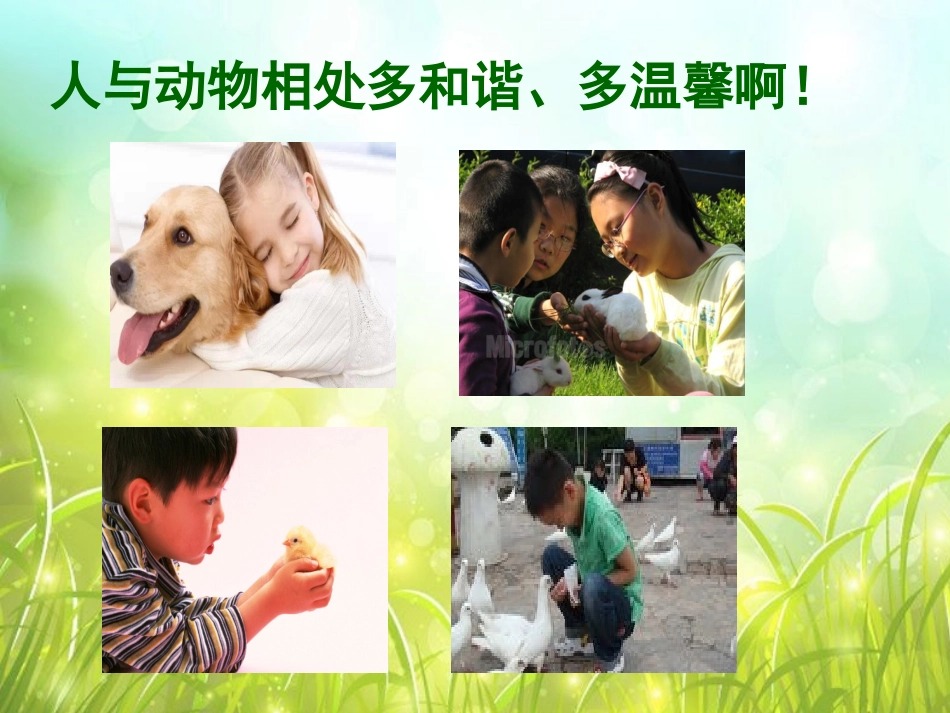 【明德】部编版小学3—6年级综合实践活动《5.4我是小小养殖员》【王老师】【最新】优质课.ppt_第2页