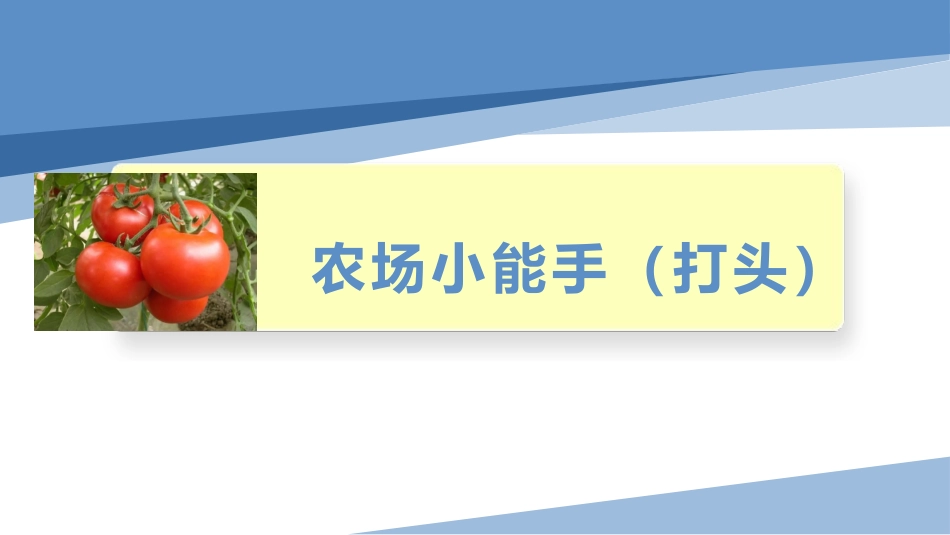 农场小能手（打头）（课件）-四年级劳动教育“小农庄”（校本课程）.pptx_第1页