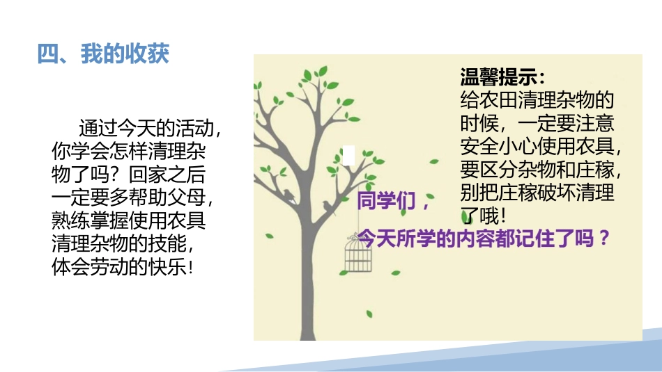 农庄小能手（清理杂物）（课件）-二年级劳动教育“小农庄”（校本课程）.pptx_第3页