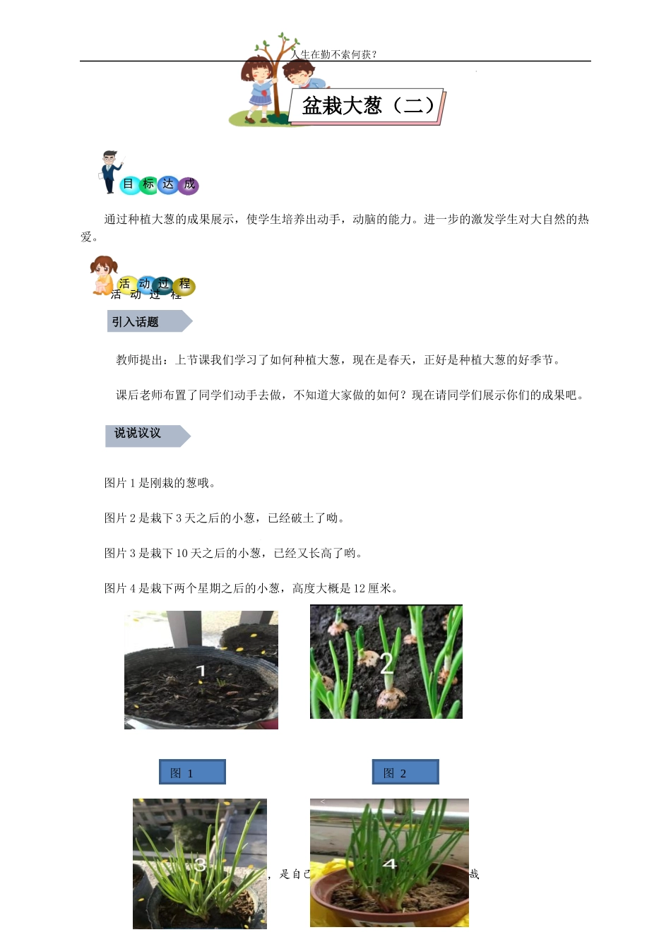 盆栽大葱（二）（教案）-二年级劳动教育“小农庄”（校本课程）.docx_第1页