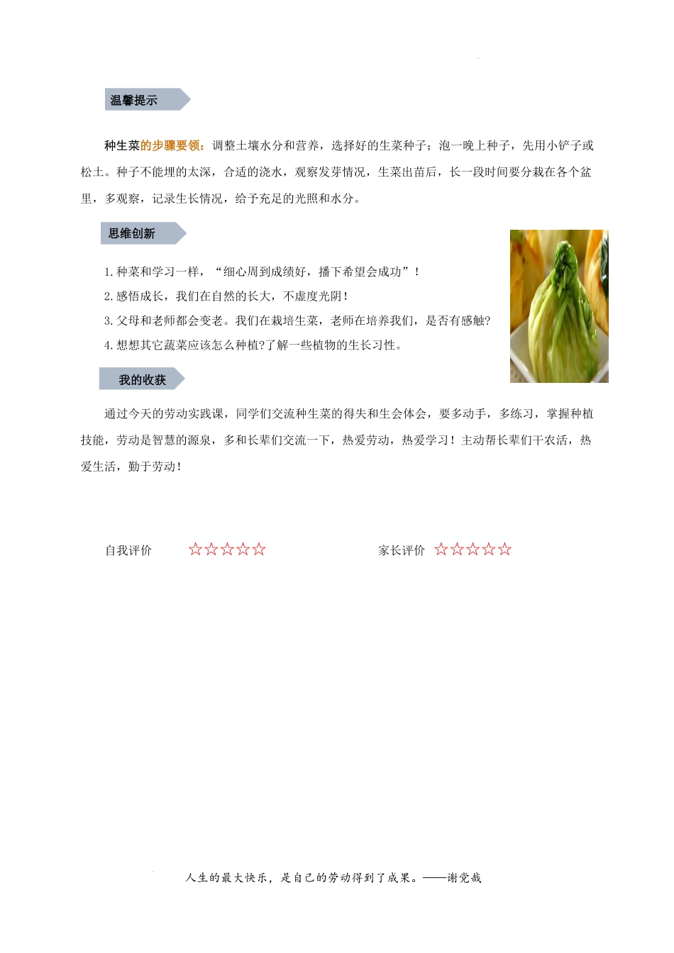 盆栽生菜（二）（教案）-二年级劳动教育“小农庄”（校本课程）.docx_第3页