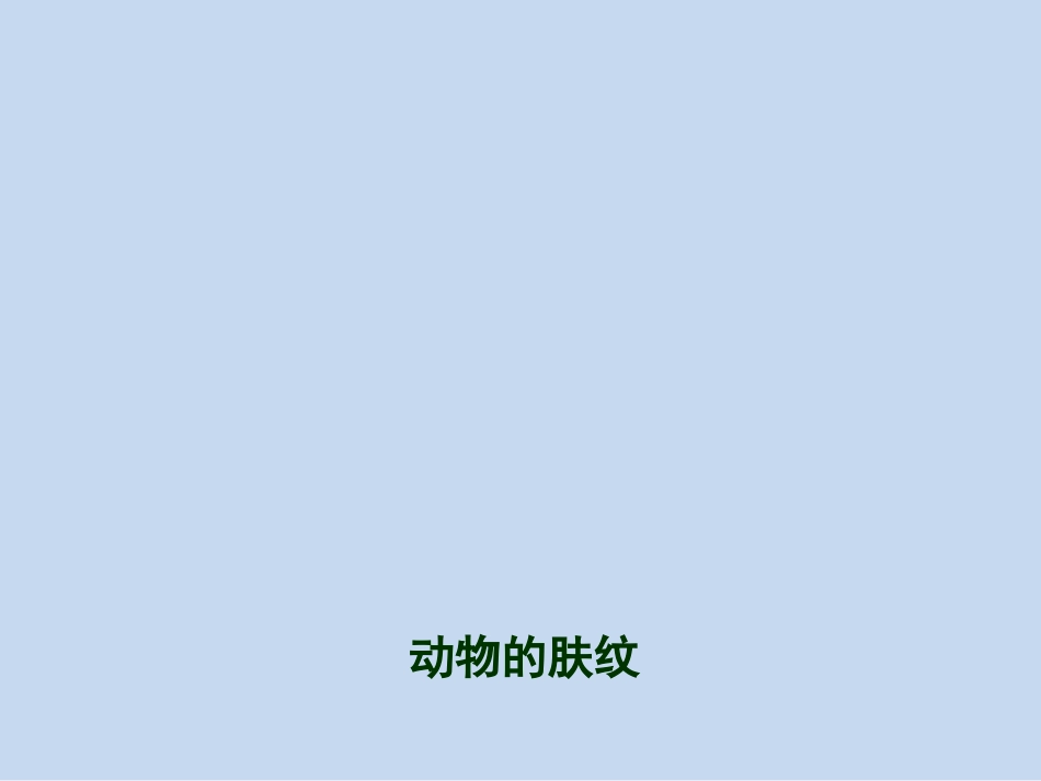 三年级综合实践活动课件-动物的肤纹 全国通用（共18张PPT）.pptx_第1页