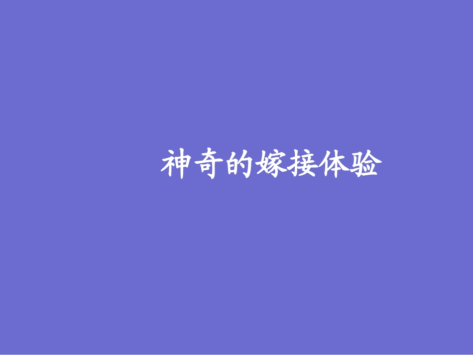 三年级综合实践活动课件-神奇的嫁接体验 全国通用（共15张PPT）.pptx_第1页