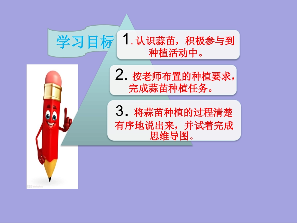 三年级综合实践活动课件-蒜苗的种植方法 全国通用（共20张PPT）.pptx_第3页