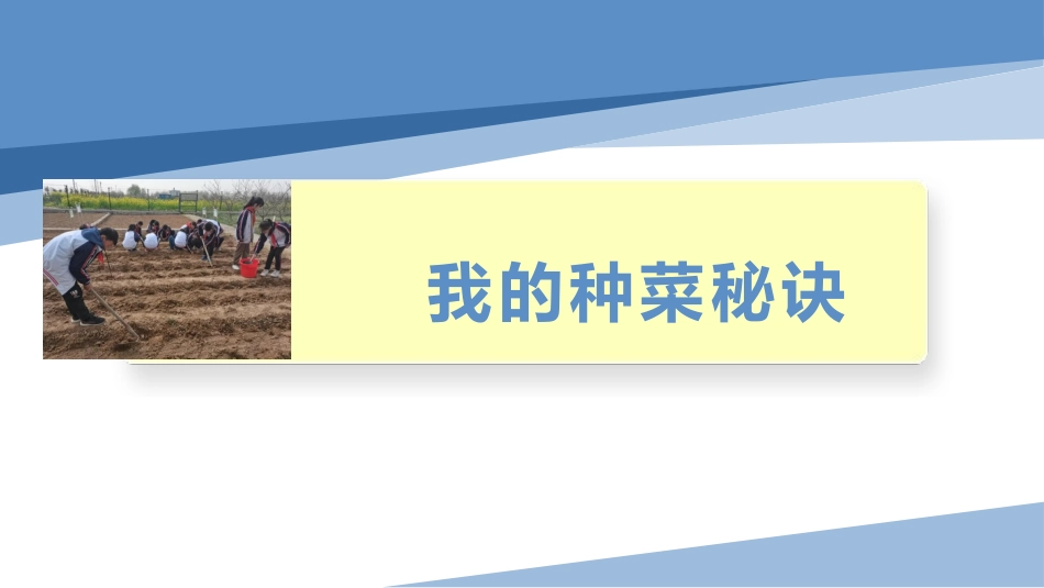 我的种菜秘诀（课件）-四年级劳动教育“小农庄”（校本课程）.pptx_第1页