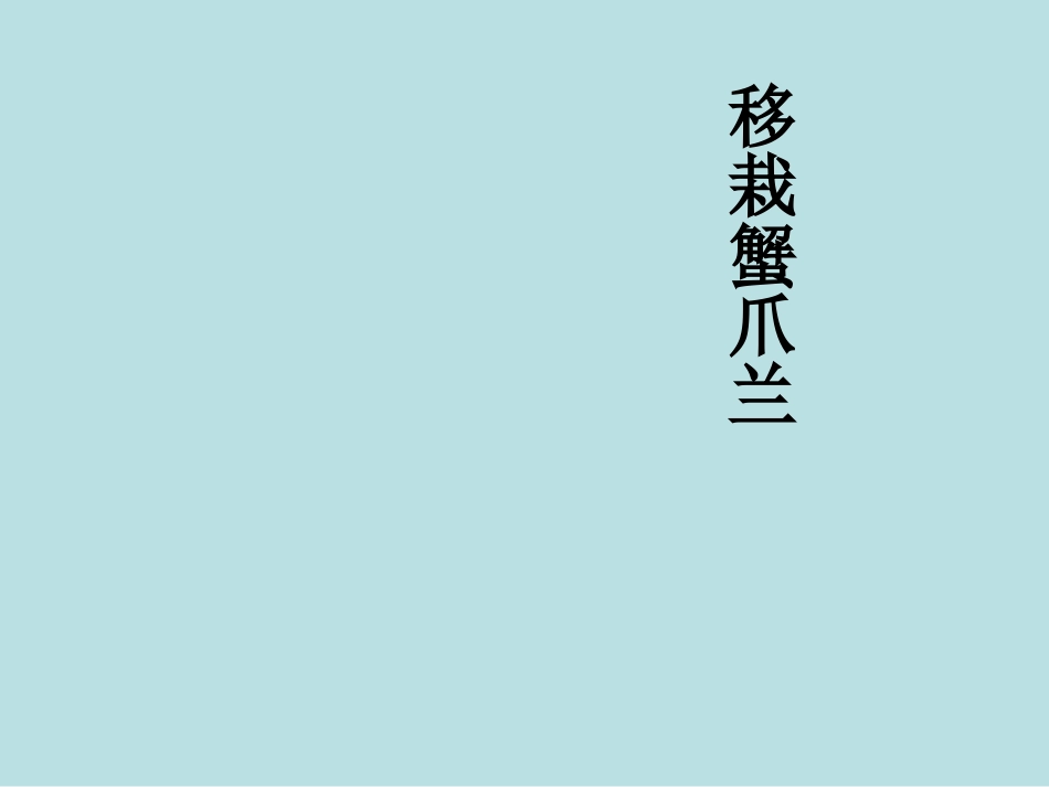 五年级综合实践活动课件-移栽蟹爪兰 全国通用（共17张PPT）.pptx_第1页